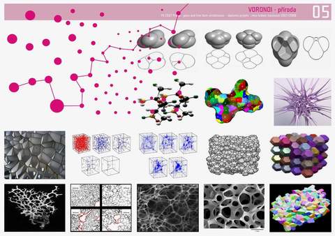 Nina Hedwic: Palc Umn Praha