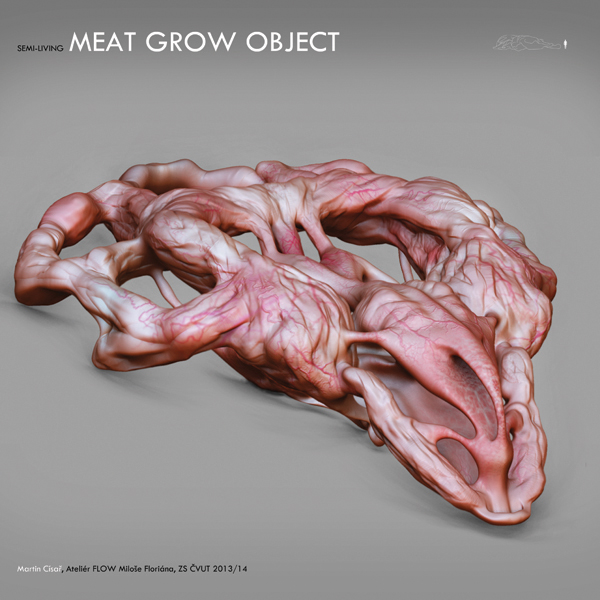 Martin Císař | Meat grow object