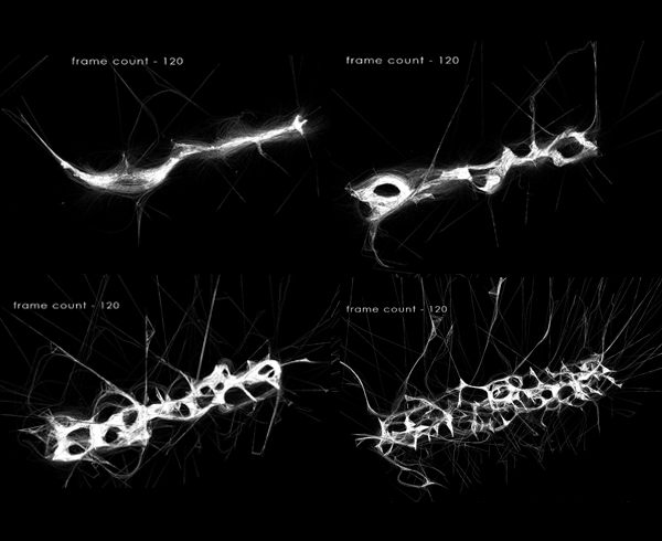 Jakub Fišera | CARBONfibre bridge