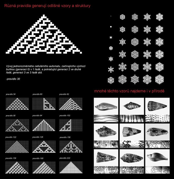 Jan Kalfus | Průmyslová zóna Holešov (Cellular Automata)